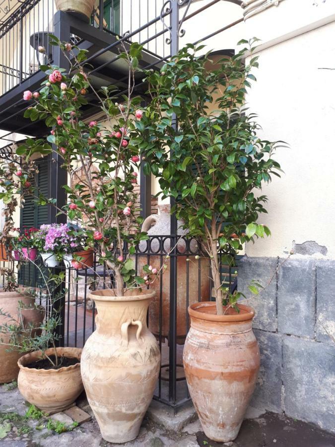 Mamarico' Apartament Catane Extérieur photo