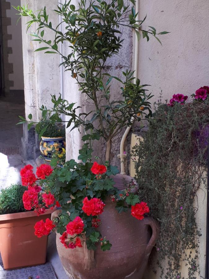 Mamarico' Apartament Catane Extérieur photo